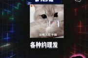 娱乐圈吃瓜超级课代表,超级课代表带你吃遍瓜界风云