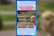 娱乐吃瓜派,揭秘明星幕后那些事儿