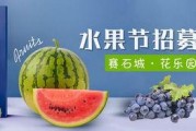 娱乐吃瓜渠道哪里找,轻松获取热门八卦资讯的秘籍